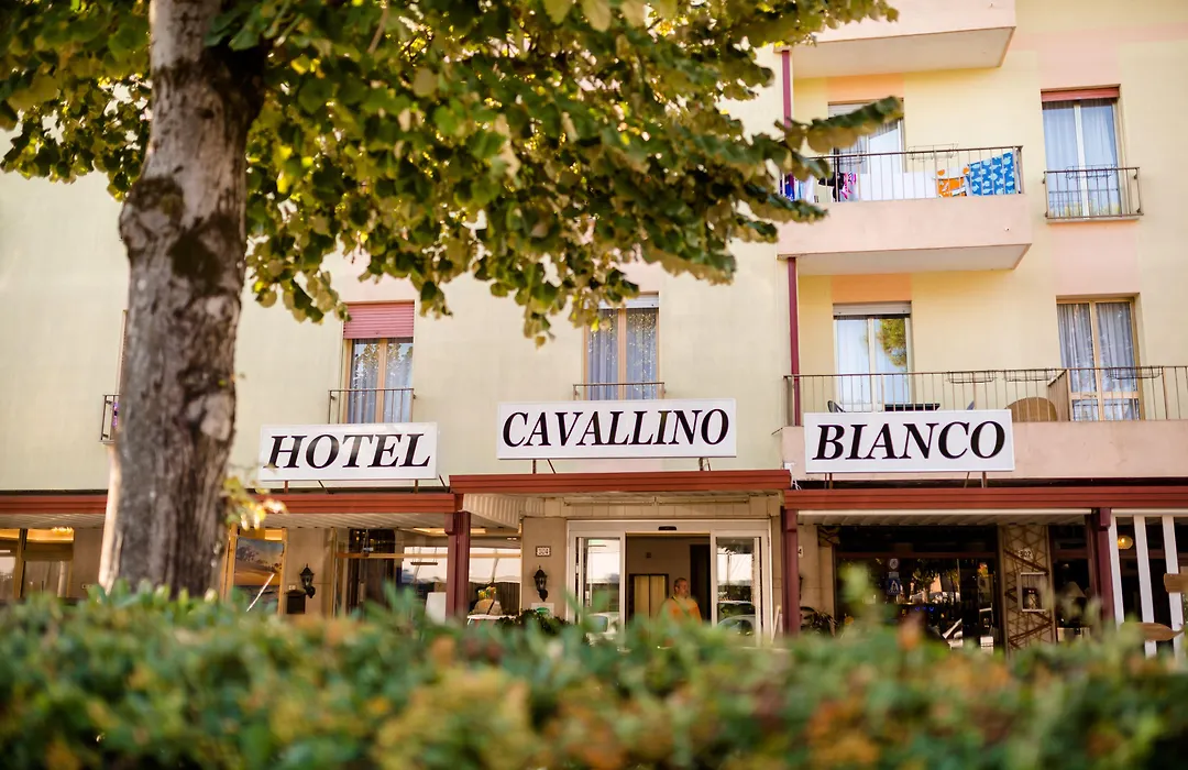 Hotel Cavallino Bianco-1